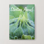 Carte Photo Photographie humide de plan rapproché de bourgeon (Recto)