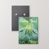 Carte Photo Photographie humide de plan rapproché de bourgeon (Recto/Verso)