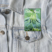 Carte Photo Photographie humide de plan rapproché de bourgeon (Insitu)