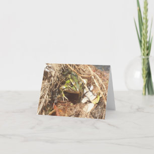 Carte photo Pliée de grenouille à rayures vertes