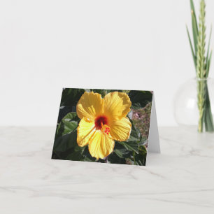 Carte photo pliée Hibiscus jaune