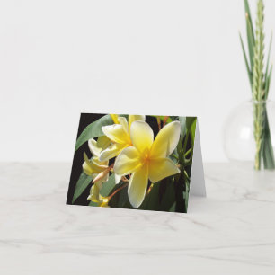 Carte photo Plumeria jaune pliée