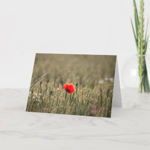 Carte Photo Poppy Nature