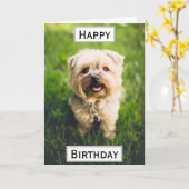 Carte Photo pour animaux de compagnie du meilleur papa d (Fleur jaune)