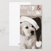 carte photo pour chien noël (Devant / Derrière)