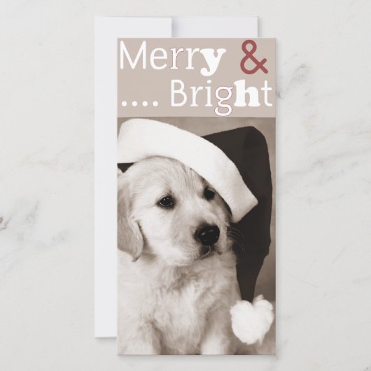 carte photo pour chien noël (Devant)