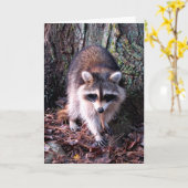 Carte Photo Raccoon (Fleur jaune)