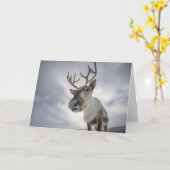 Carte Photo Reindeer (Fleur jaune)