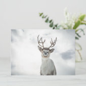 Carte photo Reindeer (Debout devant)