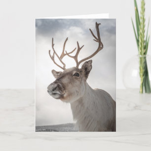 Carte Photo Reindeer