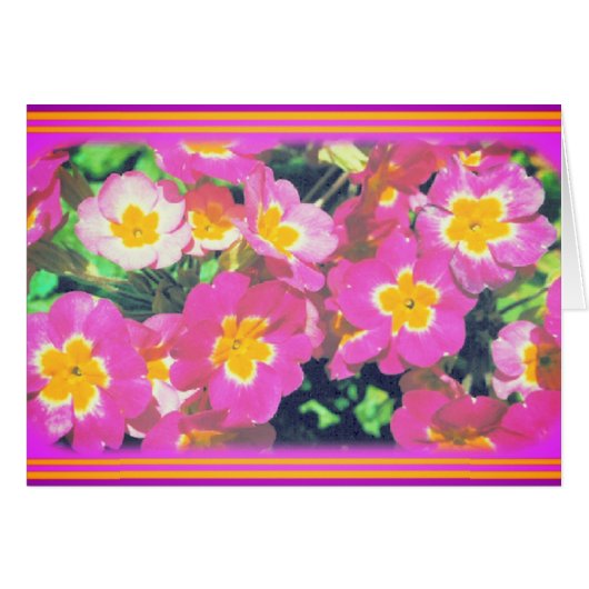 Carte photo rose (Devant horizontal)