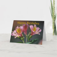 Photo rose de joyeux anniversaire de lis d'Inca
