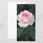 Carte photo Rose Promesse de liaison (Devant / Derrière)