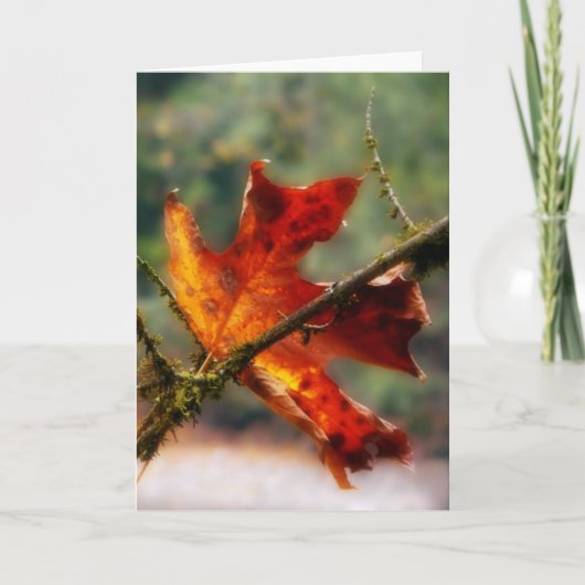 Carte Photo rouge de nature de feuille d'automne (Devant)