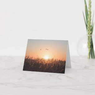 Carte Photo Sunrise Reed Nature