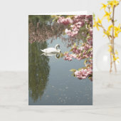 Carte Photo Swan (Fleur jaune)