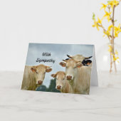 Carte Photo Sympathie avec les vaches tan des animaux de (Fleur jaune)