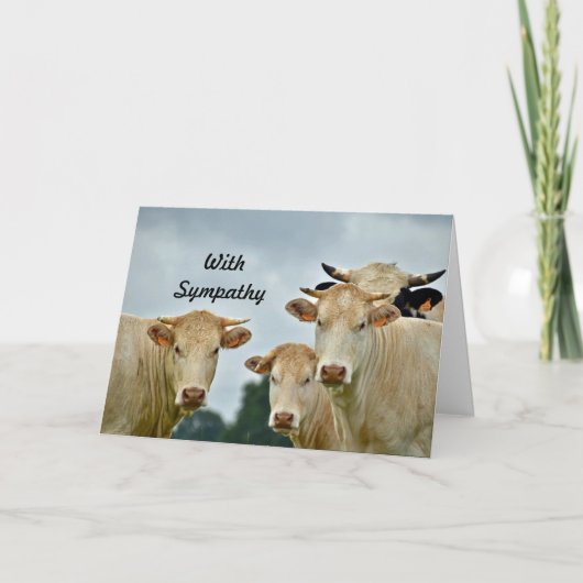 Carte Photo Sympathie avec les vaches tan des animaux de (Devant)