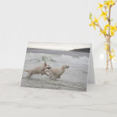 Carte photo vierge de golden retriever (Fleur jaune)