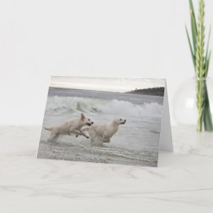 Carte photo vierge de golden retriever