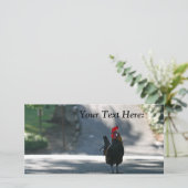 Carte photo vierge, Rooster (Debout devant)