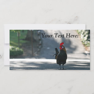 Carte photo vierge, Rooster