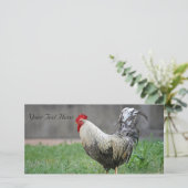 Carte photo vierge, Rooster (Debout devant)