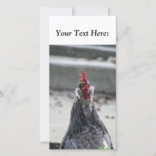 Carte photo vierge, Rooster (Devant)