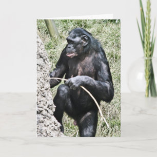 Carte Photo W de chimpanzé encourageant la citation de