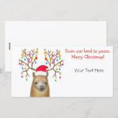 Carte photo Xmas Alpaca personnalisable (Devant / Derrière)