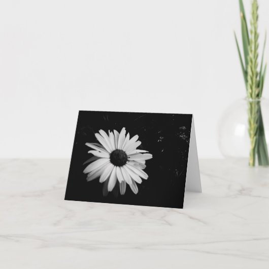 Carte Photographe notecards (Devant)