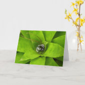 Carte Photographie botanique verte de Bromeliad (Fleur jaune)