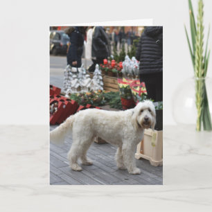 Carte Photographie de chien à Sloane Square Londres à No