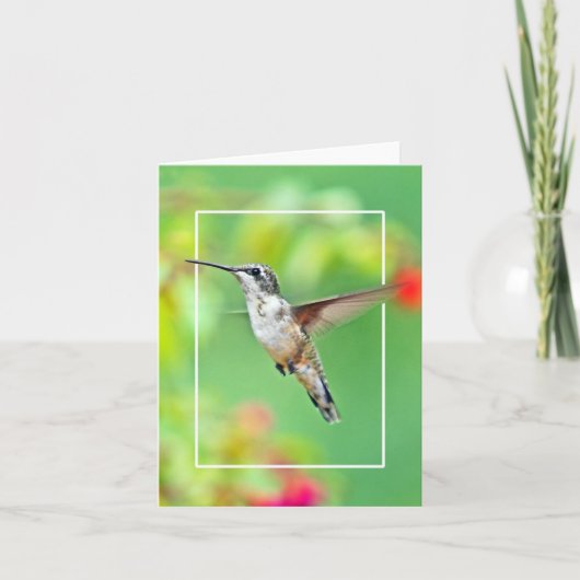 Carte Photographie de colibri (Devant)