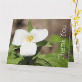 Carte Photographie de fleur de trille blanc (Fleur jaune)