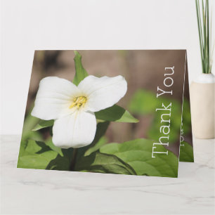 Carte Photographie de fleur de trille blanc