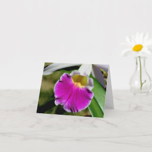 Carte Photographie de fleur d'orchidée délicate Note