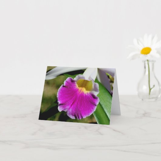 Carte Photographie de fleur d'orchidée délicate Note (Petite plante)