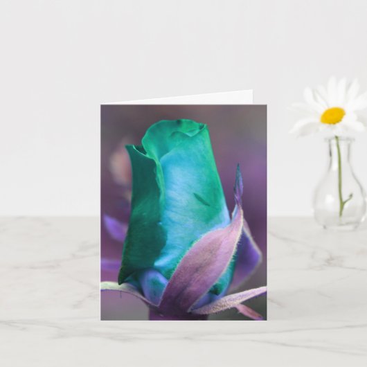 Carte Photographie de fleurs de rose turquoise Note (Petite plante)