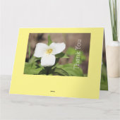 Carte Photographie de la fleur de Trillium blanc (Dos)