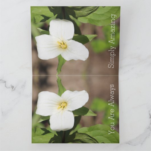 Carte Photographie de la fleur de Trillium blanc (Intérieur)