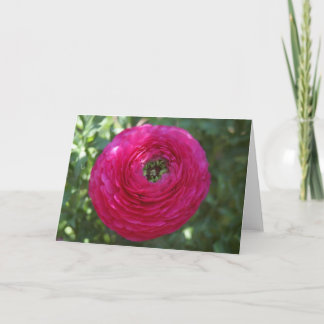 Carte Photographie de la nature