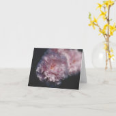 Carte Photographie de la nature (Fleur jaune)