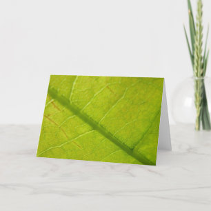 Carte Photographie de la nature botanique de la feuille