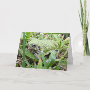 Carte Photographie de la nature de la grenouille arboric