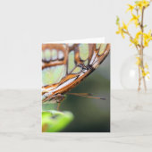 Carte Photographie de la nature du visage de papillon No (Fleur jaune)