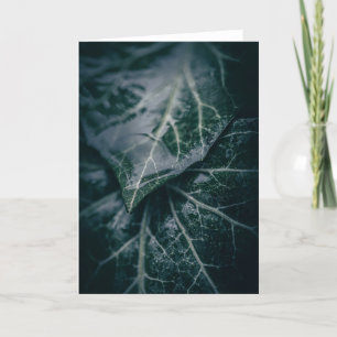 Carte Photographie de la nature florale ivoirienne