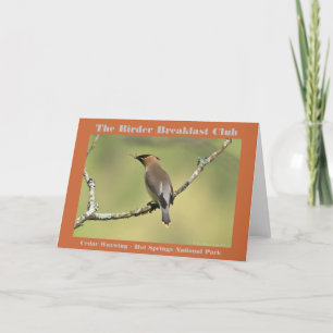 Carte Photographie de la nature Jaseur d'Amérique Ornith