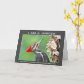 Carte Photographie de la nature Oiseau de pic pilé (Fleur jaune)