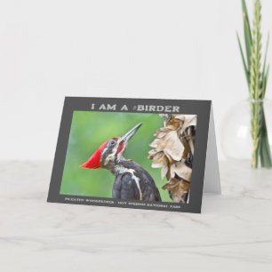 Carte Photographie de la nature Pic à tête rouge Ornitho